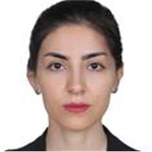 Mahbube(Meg) Nazifi