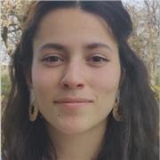 Lezioni di Francese (Superiori, Università)
