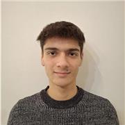 studente di ingegneria al politecnico di torino, ripetizioni di fisica per medie e superiori