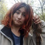 Lengua Castellana y Literatura, Filosofía, Historia, Inglés, Francés...