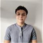 Profesor de lengua castellana y literatura para niveles inferiores. 