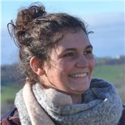 Cours d'histoire de l'art et d'art plastique