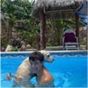 Estudiante de segundo de química ofrece clases de química y matemáticas para preparar la selectividad y para bachillerato.