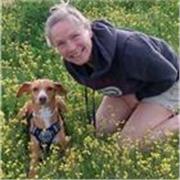 Experienced native English teacher offering engaging, confidence-building lessons in your home. All levels and curriculums