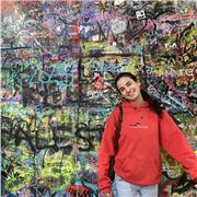 Profesora de refuerzo e idiomas para clases particulares