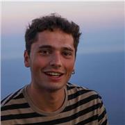 studente al terzo anno di ingegneria energetica offre ripetizioni ed aiuto-compiti di matematica e non