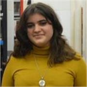 Profesora con máster de enseñanza de inglés con 3 meses de experiencia, imparto clases tanto online como presencial.
