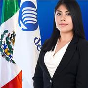 Maestra de ingeniería