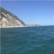 Laureato in Ingegneria Meccanica, impartisco ripetizioni di materie tecniche e scientifiche per gli Istituti Tecnici e per il Licei