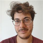 Insegnante di matematica e Fisica con esperienza nelle scuole superiori