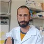 Investigador posdoctoral en el ámbito médico-biológico, con capacidad para impartir docencia personalizada a todos los niveles. 
