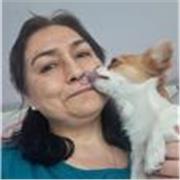 Doy clases particulares de Inglés a cualquier nivel y edad