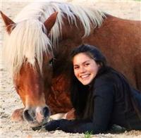 Accompagnement Equitation Ethologique et Relation Cheval