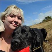 English tutor with school experience teaching English Language at KS3 and GCSE, and English literature at KS3, GCSE, and A level