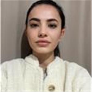 Sule Akti