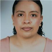 Profesor de contabilidad apto para todas las edades y niveles en formación