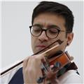 Violinista professionista e docente con ampia esperienza didattica strumentale, cameristica e orchestrale