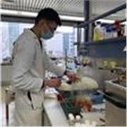 Chemie und Mathematik für die Klassen 1-10 (Chemie auch für Abi)