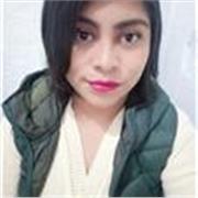 Maestro de informática para impartir clases particulares