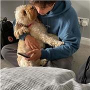 Harvey