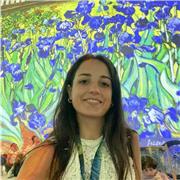 Clases particulares para todos los niveles de Ed. Primaria, económicas y con posibilidad de desplazamiento