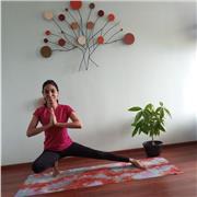 Clases de Yoga Personalizadas. Modalidad Online