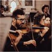 Clases de Violín y Viola. Proveo Instrumento. Online. Presencial