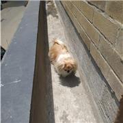 Tecnologa en actividad física (clases músicalizadas)