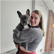 Ich biete Mathe Nachhilfe von Klasse 1 bis zum Abitur an