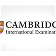 Studentessa con diploma liceo linguistico e certificazione Cambridge C1 offre ripetizioni di inglese per ragazzi dalle elementari al liceo