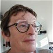 Clases de primaria y secundaria