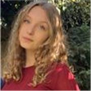 Offro lezioni di matematica online per scuole elementari, medie e superiori