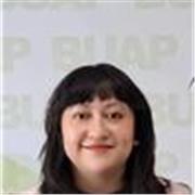 Investigación y redacción académica para nivel medio y superior