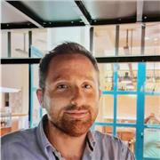 Insegnante di lettere e materie umanistiche