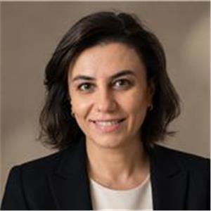 Deniz Ekmen