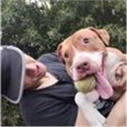 saludos cómo te va ? buenas tardes ! del Soy un chico que vivía en Escocia y en Inglaterra te enseño a expresarte en ingles