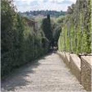 Ayudo en clases de latín, griego y matemáticas, también puedo ayudar en sintaxis.