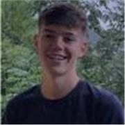 Profesor de dibujo apto para niños y niñas de 7 a 12 años