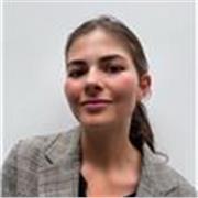 English or Spanish Tutor for all ages and levels