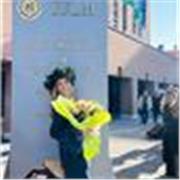 Insegnante madrelingua inglese, quattro anni di esperienza, lezioni private online.