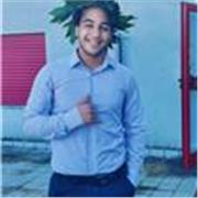 Insegnante inglese, italiano, arabo, elettrotecnica, programmazione, materie scuola media,elementare