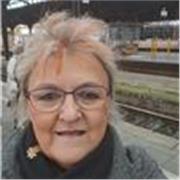 Erfahrener Deutschlehrer im Online und Frontalunterricht