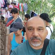 Todos los niveles, desde primaria hasta licenciatura