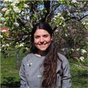 Studentessa di ingegneria offre ripetizioni di matematica per studenti di tutte le età, dalla scuola media alle superiori