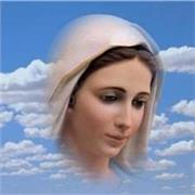 profesional en administración financiera y apacionado por las matemáticas