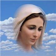 profesional en administración financiera y apacionado por las matemáticas