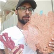 Professor particular de ciências, biologia e português para crianças e jovens