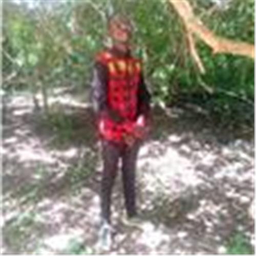 user photo
