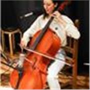 Clases de Canto, Violonchelo, Violin, Piano. Virtual o presencial. Adultos y niños. Ensambles. Curso El camino del artista