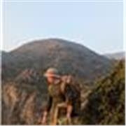 Entrenamiento de Alto Rendimiento con Diego — Fuerza, Pliometría y Nutrición para Todos los Niveles